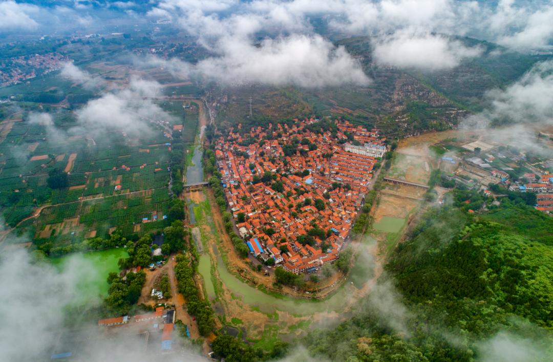 原汁原味的猕猴桃,云雾山原汁原味香甜可口的猕猴桃