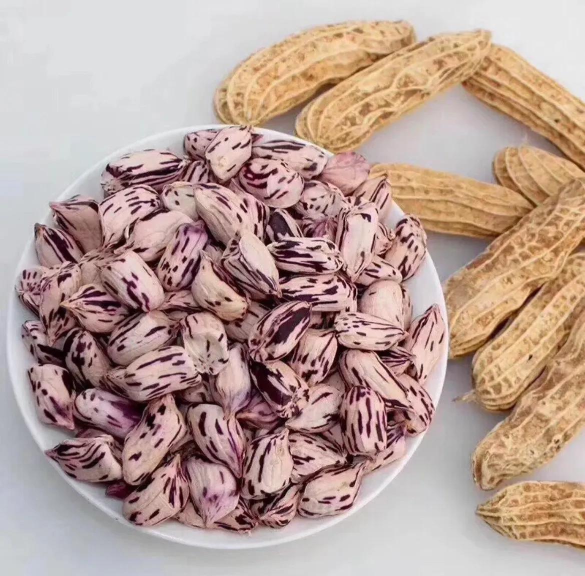 彩色花生和黑花生,黑色花生和红色花生营养价值