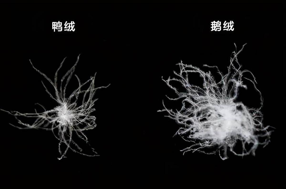 春夏秋冬适合用多大的羽绒被,如何挑选一款羽绒被