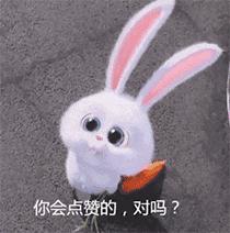 兔年春联五字大全带虎字,2023年兔年新年简单对联图片大全