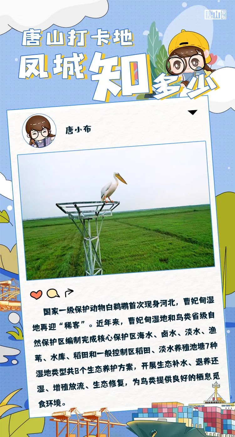 唐山最新事业编招聘,唐山发布事业单位招聘公告