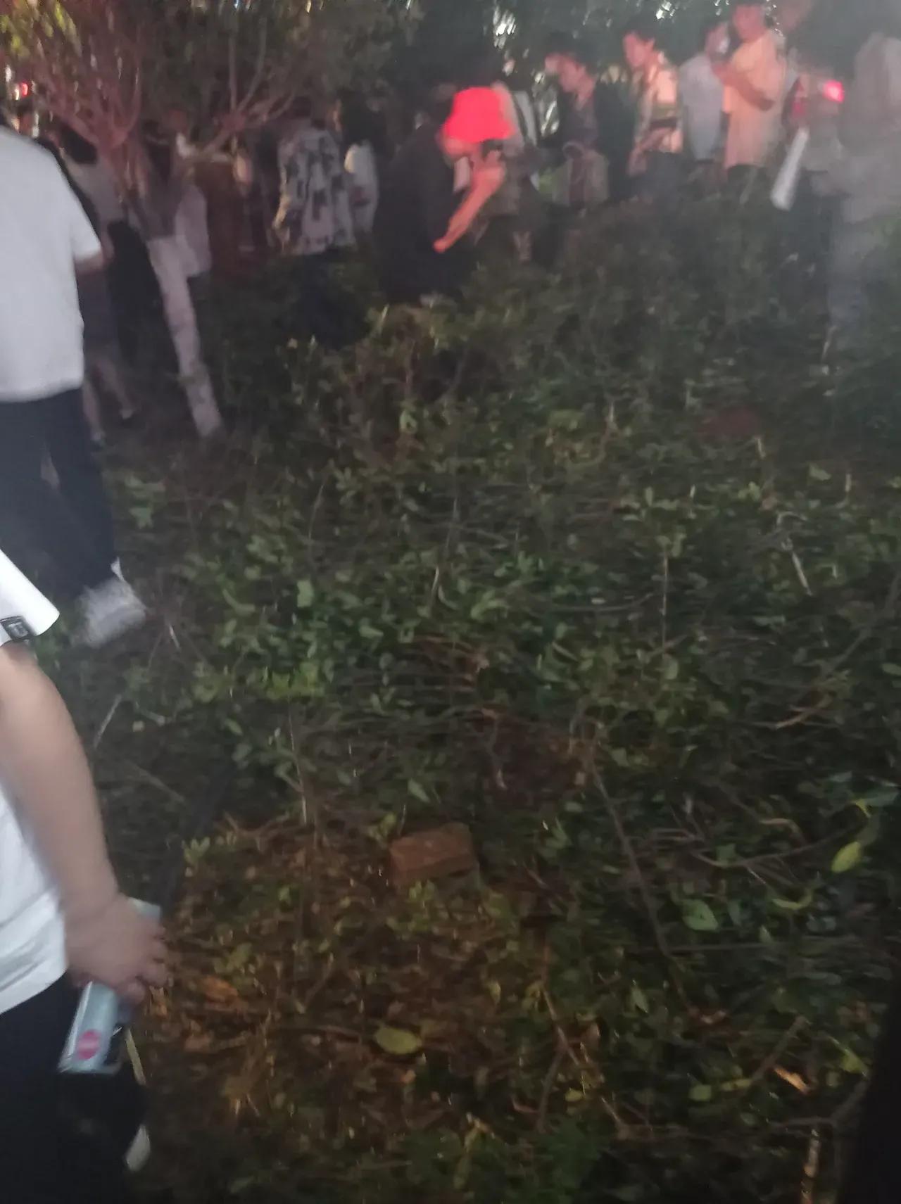 许巍来昆明吗,许巍来了原版