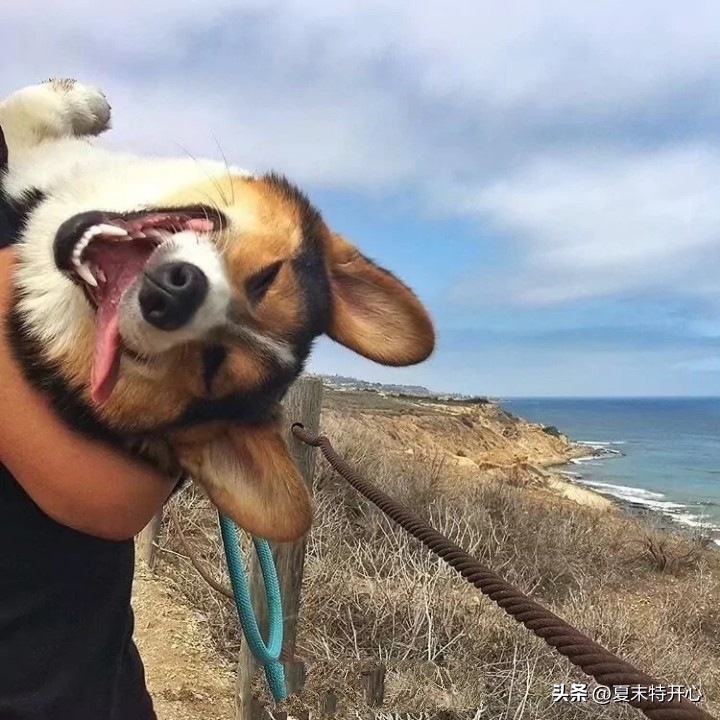 让你笑岔气的笑话,搞笑的让你笑岔气的小故事