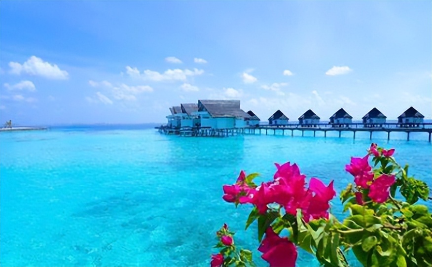 体育单招招收二级运动员的院校,体育单招报名需要高中学籍吗