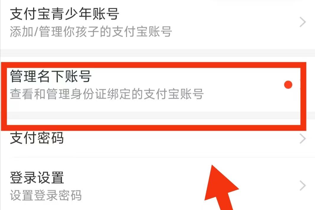 怎么知道自己有几个支付宝,如何查看名下有几个支付宝账号