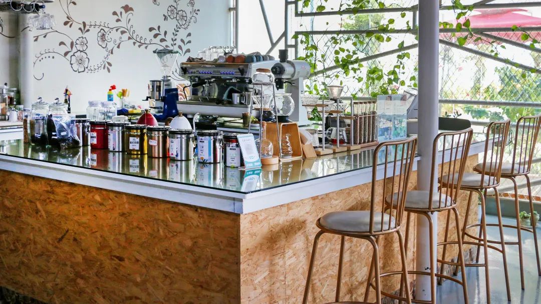 保山精品小粒咖啡,保山小粒咖啡豆哪里买