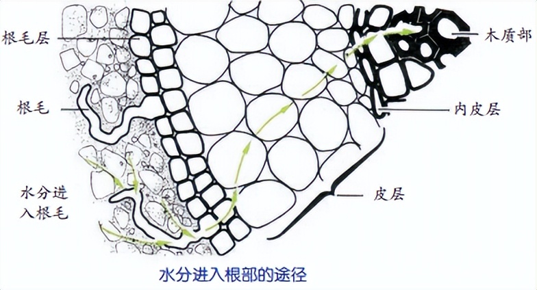 科学知识大全小学生必背,科学知识大全全集