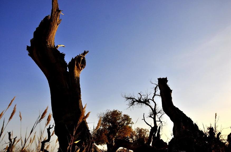 古今最有名的十首诗排名,中国历史上最凄凉的六首诗
