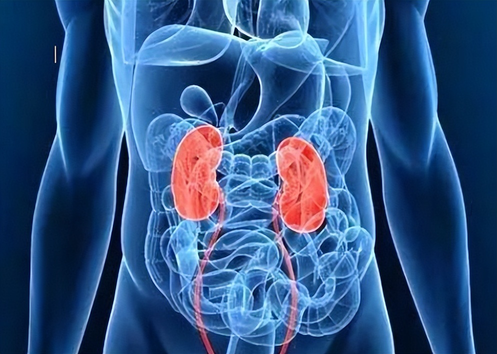 拿肾换苹果的王刚现在过得怎么样,当年卖肾换苹果的少年怎么样了