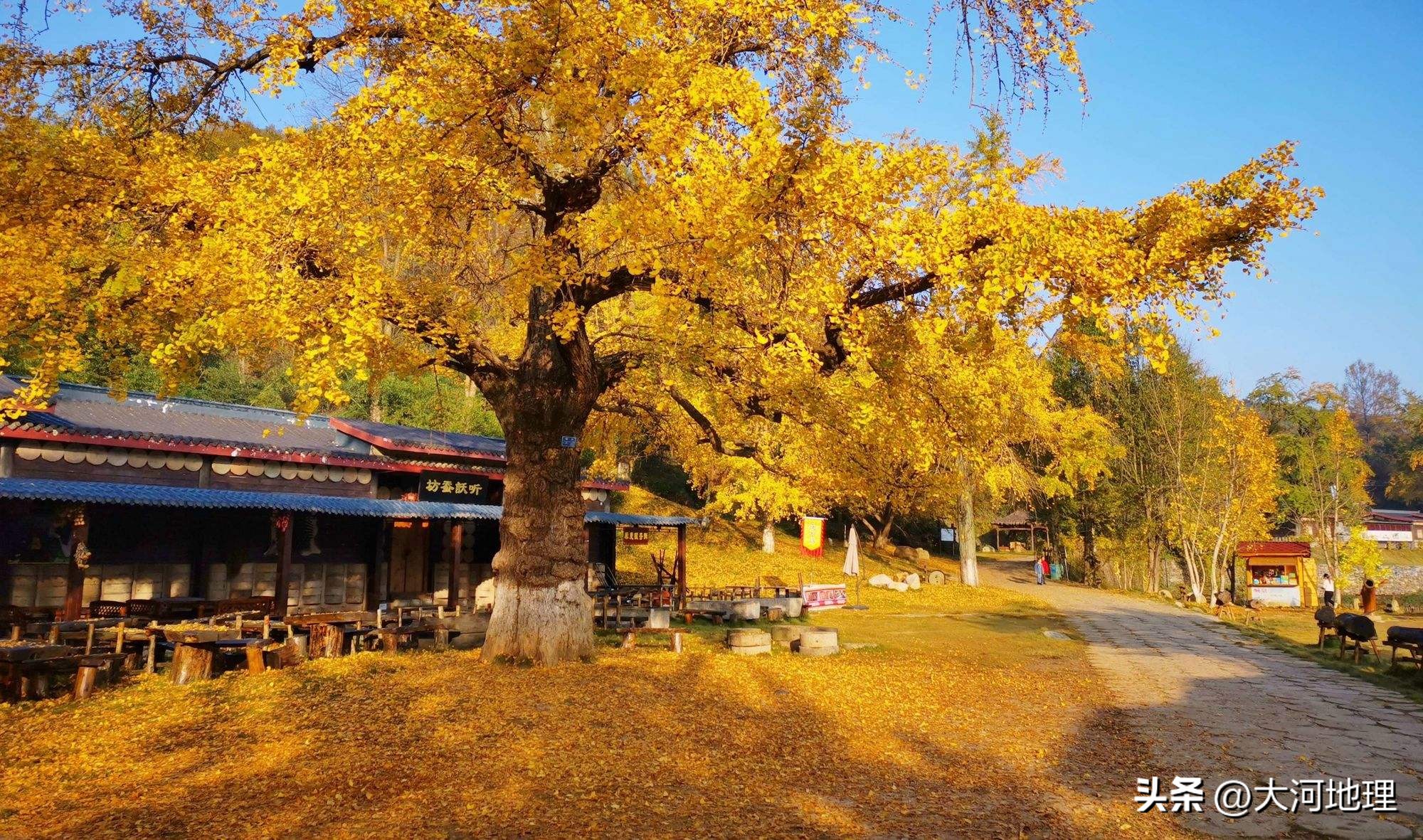 中国南方这30个景点,难说多知名,但敢说它的秋色最艳最浪漫