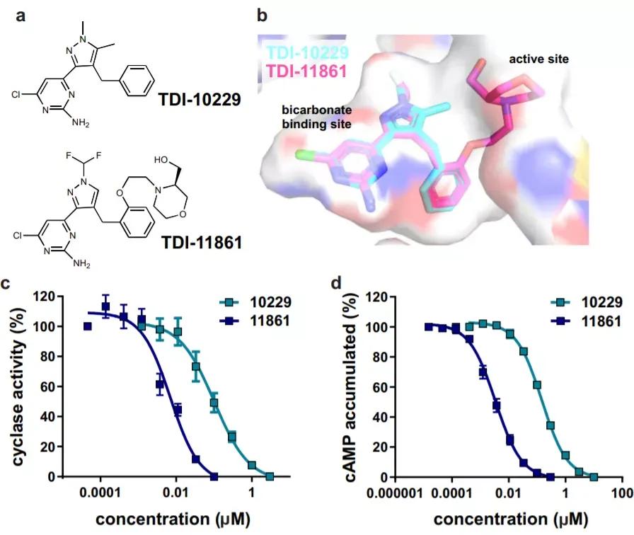 有没有男性避孕药,有没有男性避孕药吃一次管半年