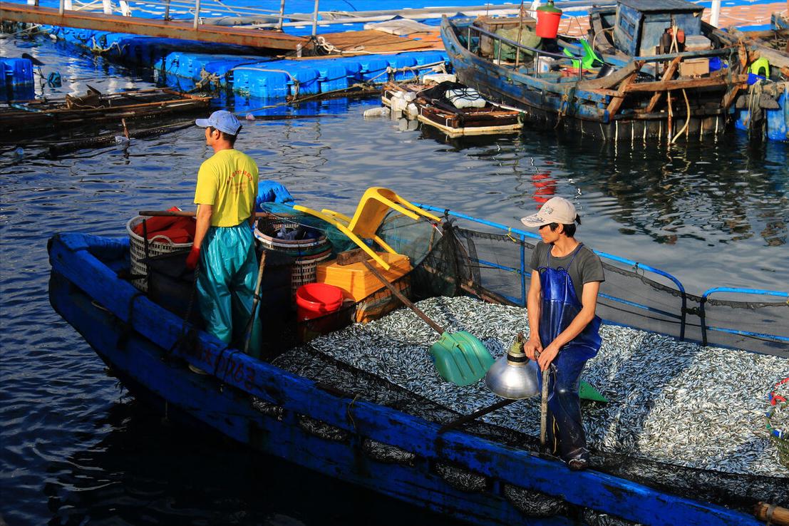 浼戞笖鏈熷彲閽撶殑娴烽奔鍝佺,浼戞笖鍚庡父瑙佺殑娴烽奔