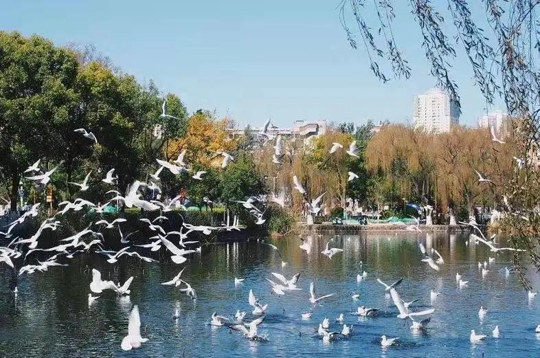 这个季节去哪里玩最合适昆明周边,昆明周边过年旅游推荐