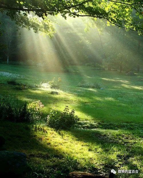 岁月洗礼时光，崭新流年记忆