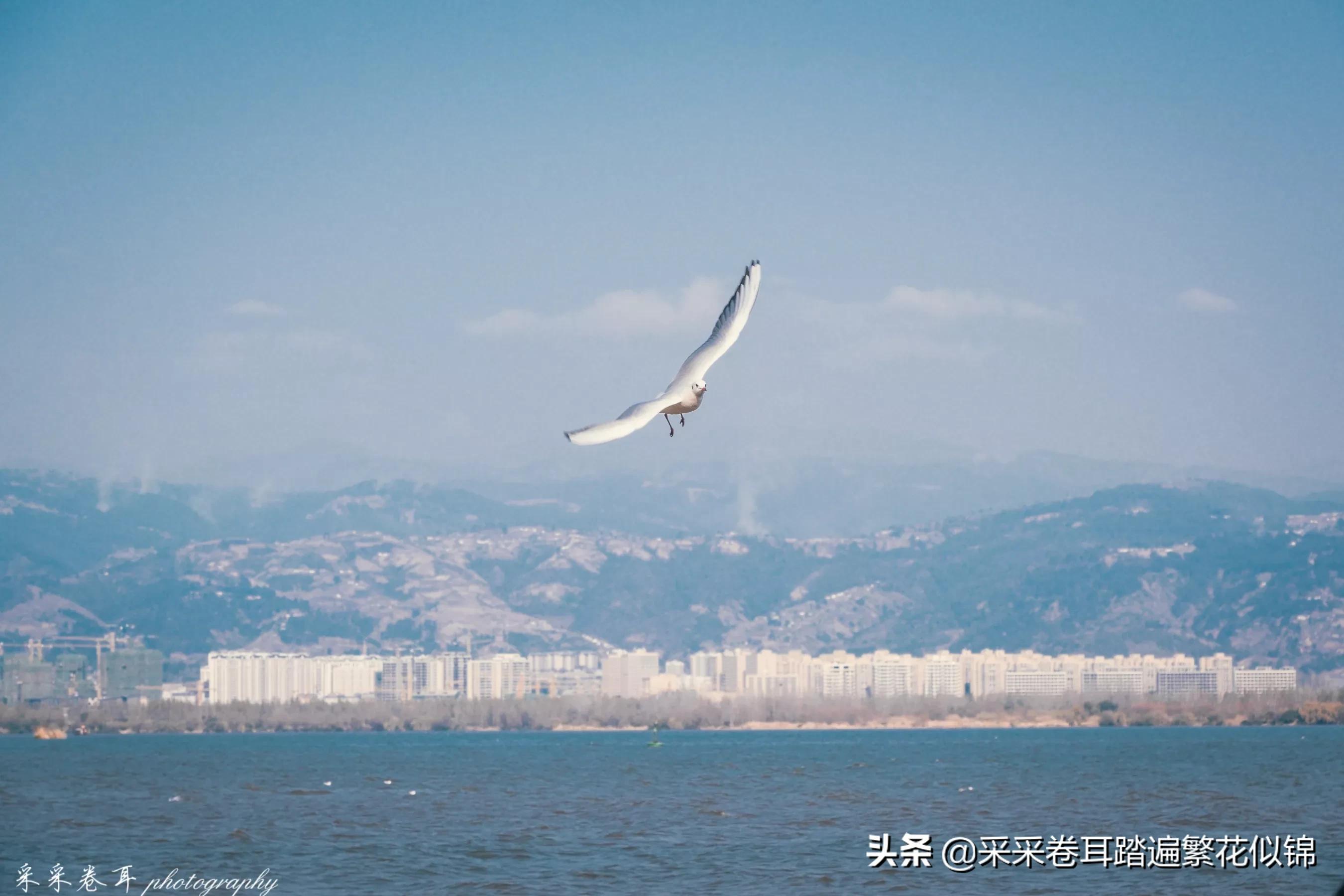 西昌邛海自驾游攻略最佳路线,西昌邛海旅游六要素