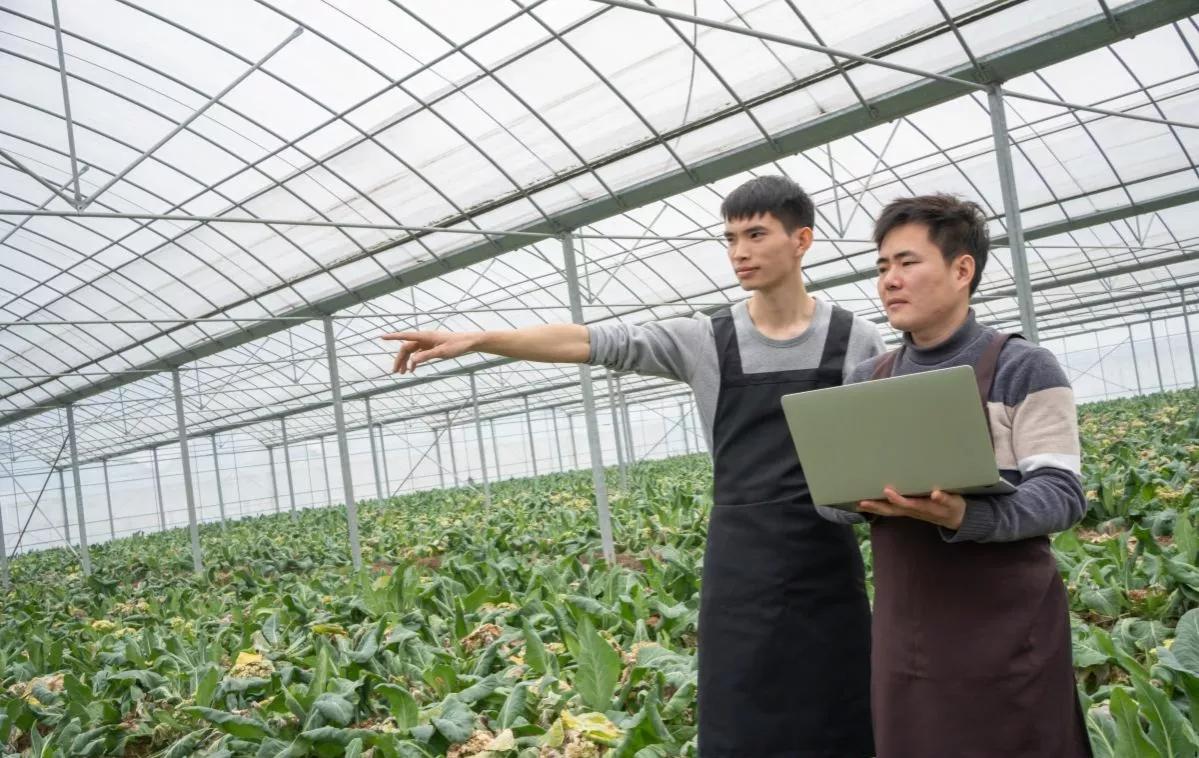 农民种地要考农民证是真的吗,哪个专家提出种地要考证