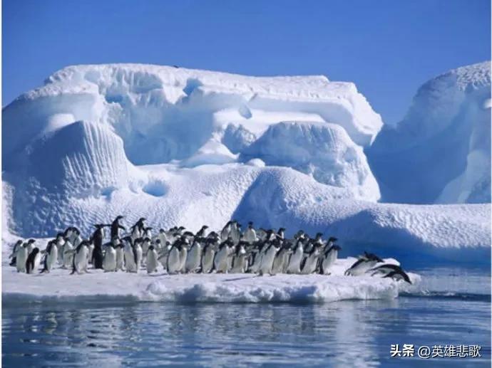 大洋洲除了澳大利亚还有哪个国家,新西兰和澳大利亚是在大洋洲吗