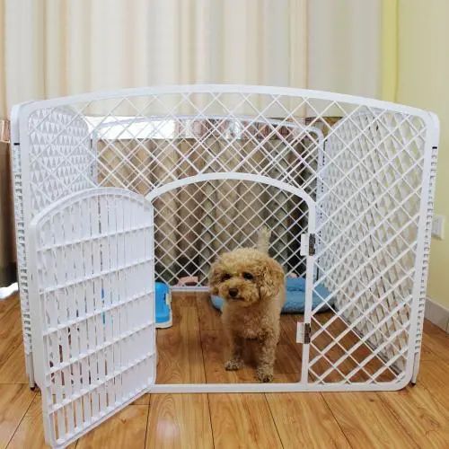 狗狗为啥乱咬东西搞破坏,怎么纠正狗狗乱咬东西