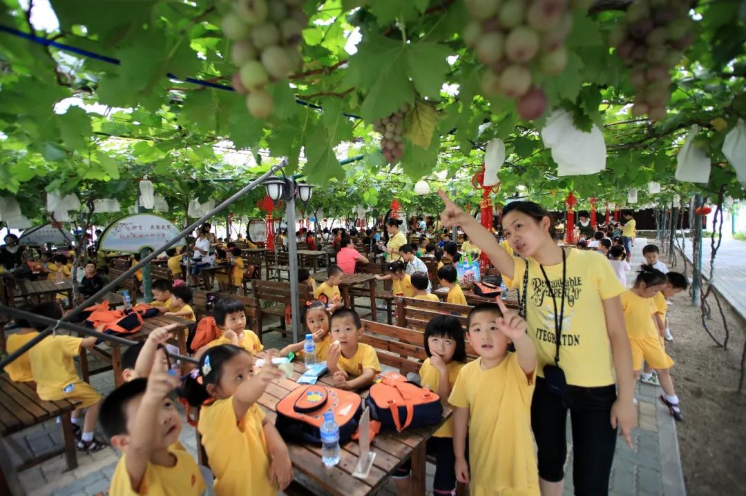 上海郊游一览表,上海郊游