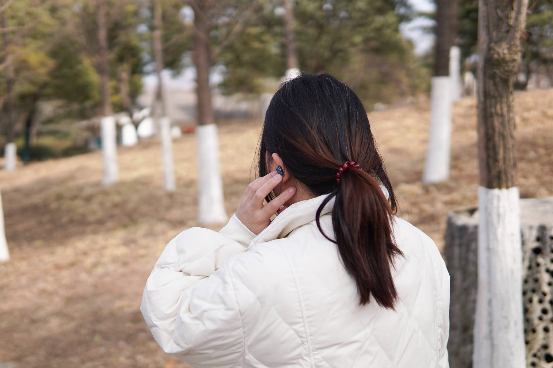jbl的蓝牙耳机值不值得买,jbl蓝牙耳机各款评价