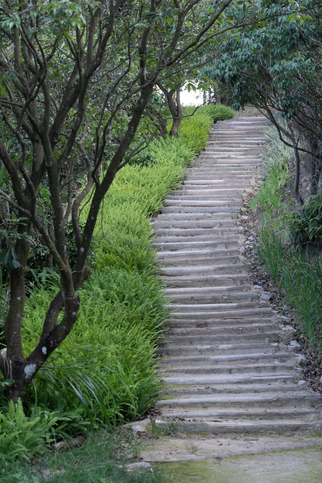 零碳公园在哪里,零碳公园