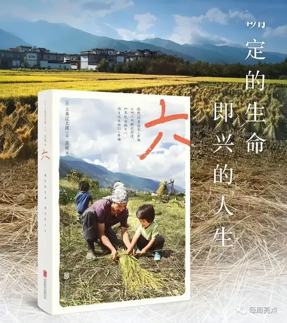 大理一个治愈心灵创伤的地方,在大理的治愈生活