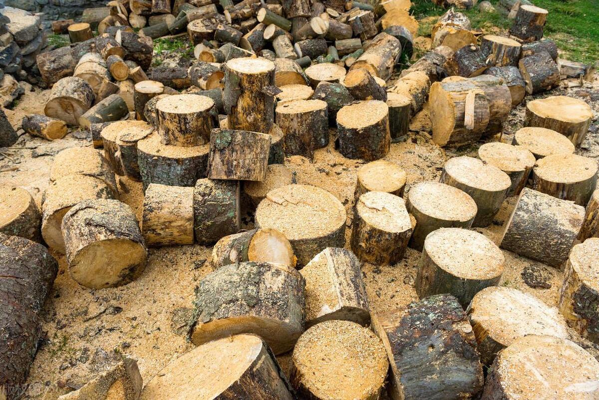 五行属木适合做什么生意,五行缺木做什么生意好