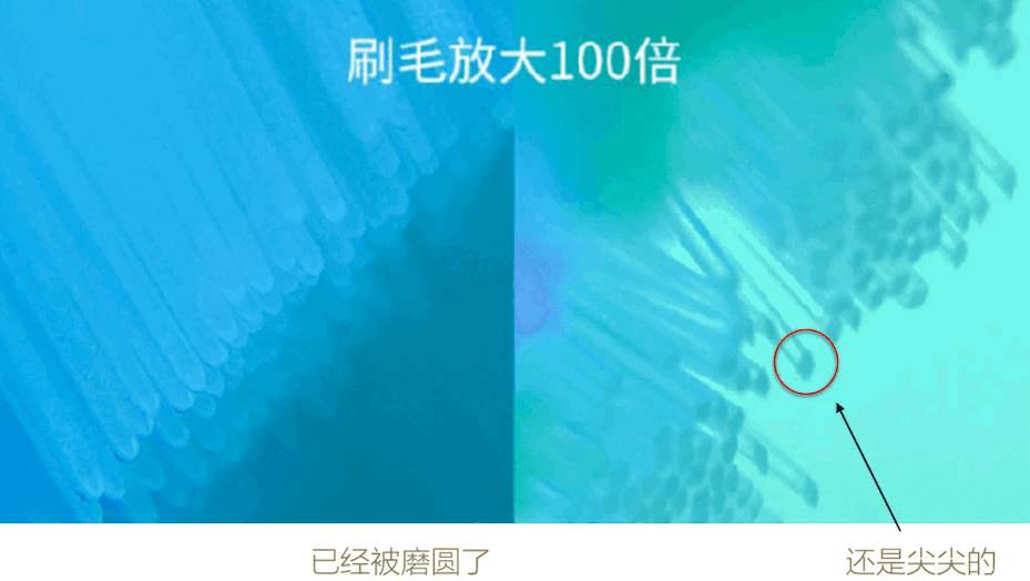 哪个牌子的电动牙刷护牙比较好,哪个品牌的电动牙刷性价比更高