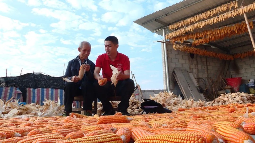 基层工作经历驻村第一书记,退役军人村书记爱岗敬业