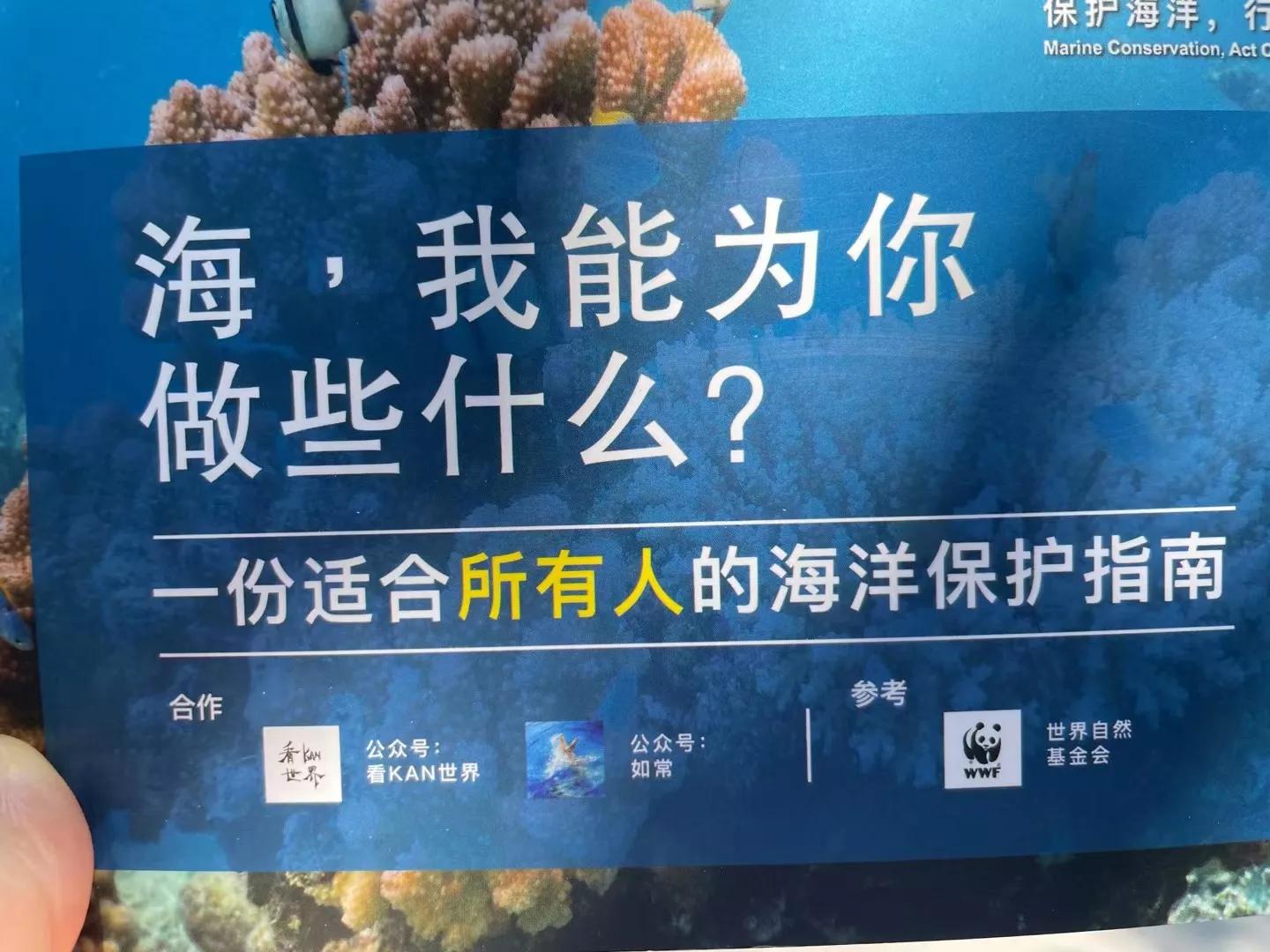 世界海洋日一起云游海洋馆,世界海洋日去浪一下吗