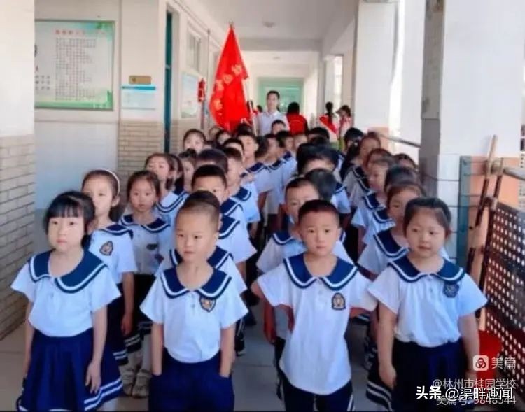 聚焦德育活动促学生全面发展,聚焦入学助力儿童成长公开课