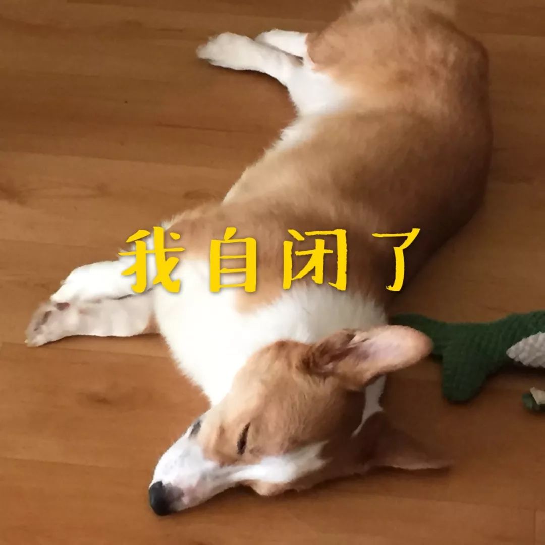 妻子瞒着丈夫花400万买房完整版,妻子瞒着丈夫花了17万