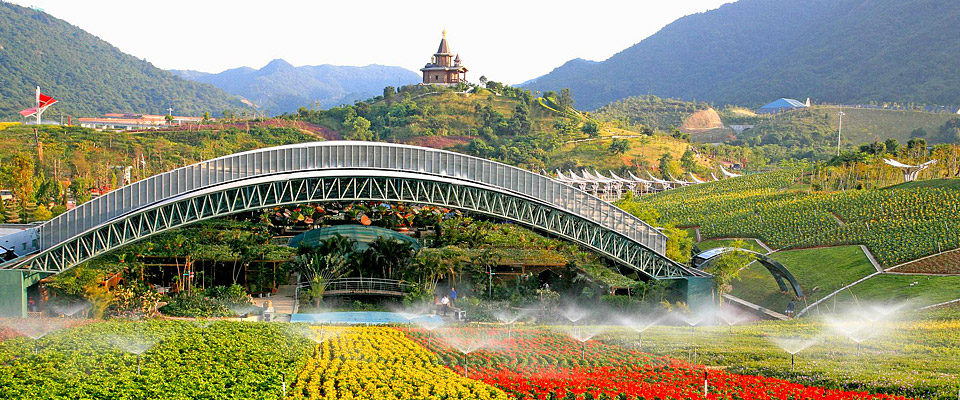 深圳攻略必玩的景点,深圳赏花景点全攻略