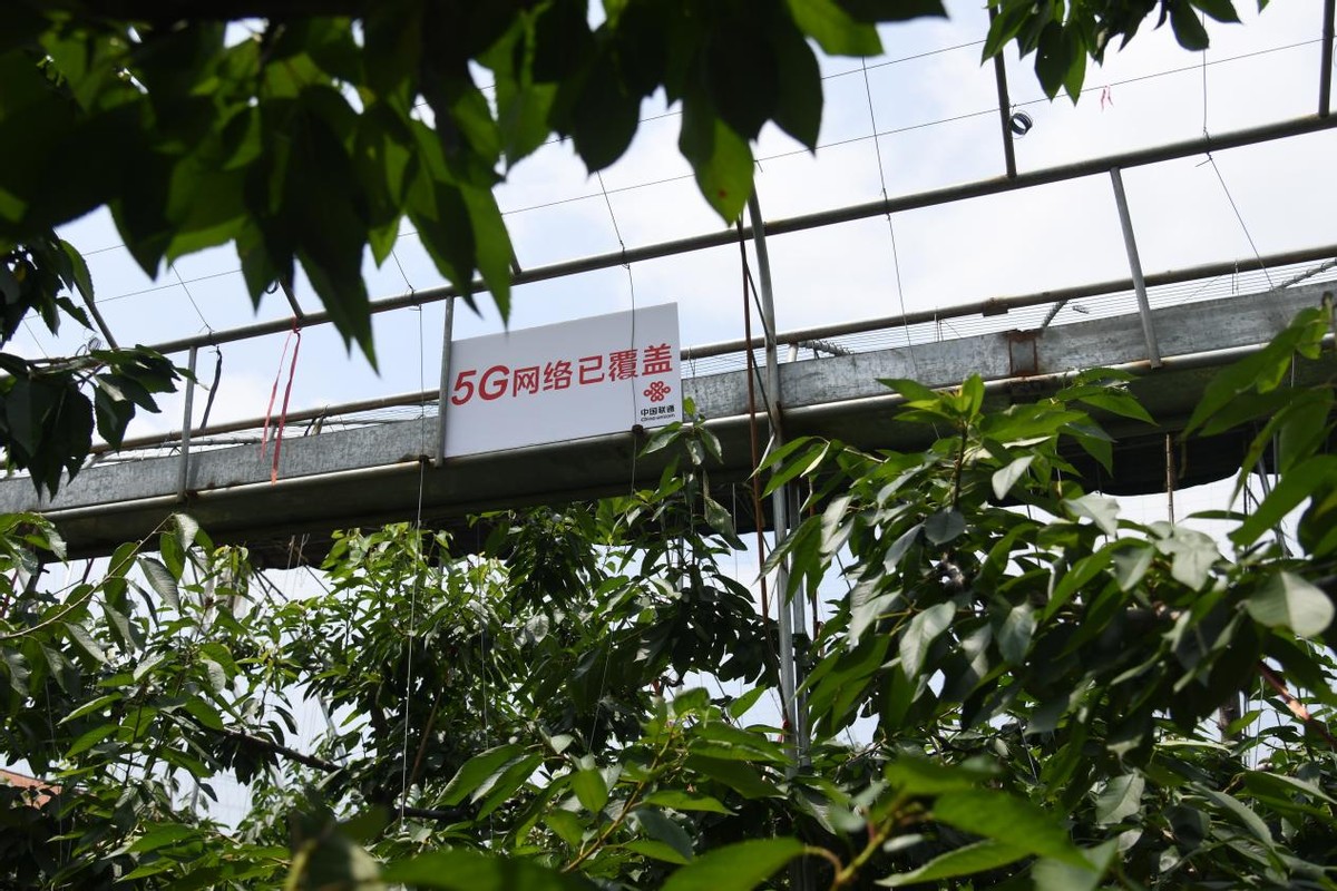 潍坊联通定点帮扶临朐县黄山村的“数字乡村”成长记