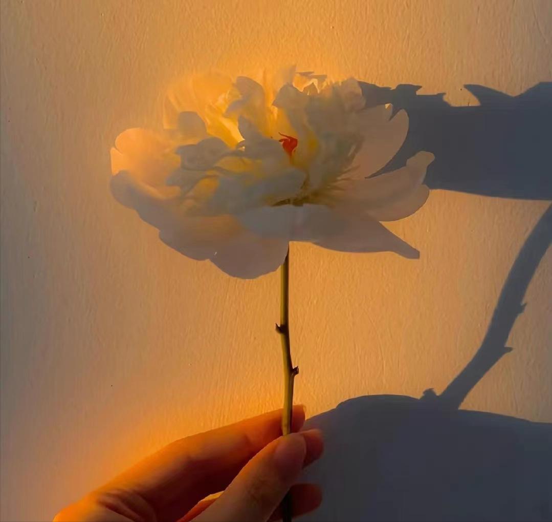 灵魂伴侣就是极致的浪漫,最好的恋人是灵魂伴侣