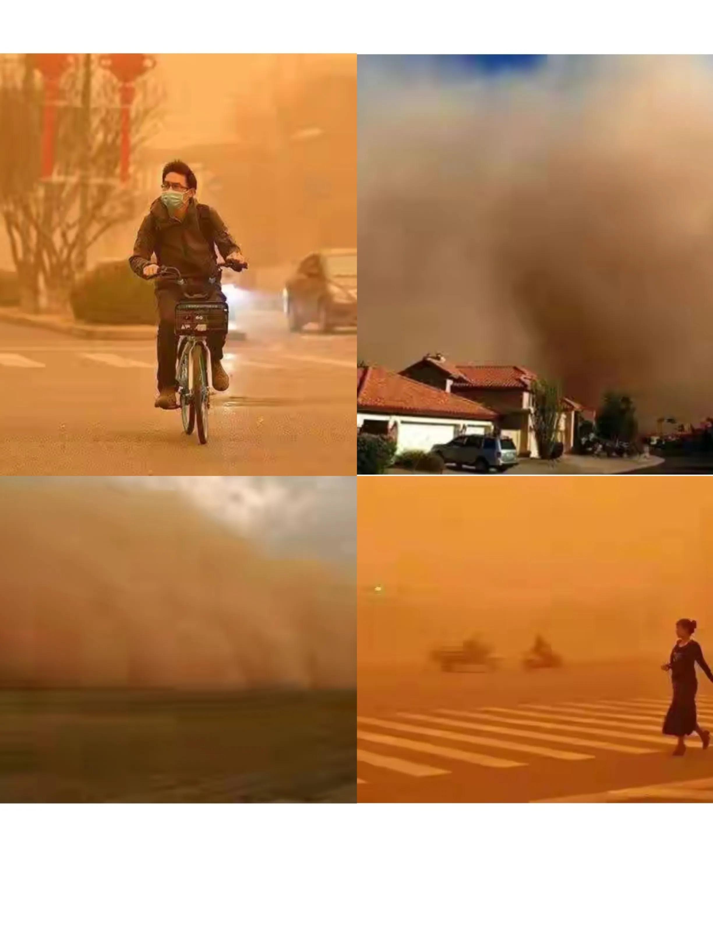 我亲身经历的社会事件作文,社会经历和感悟