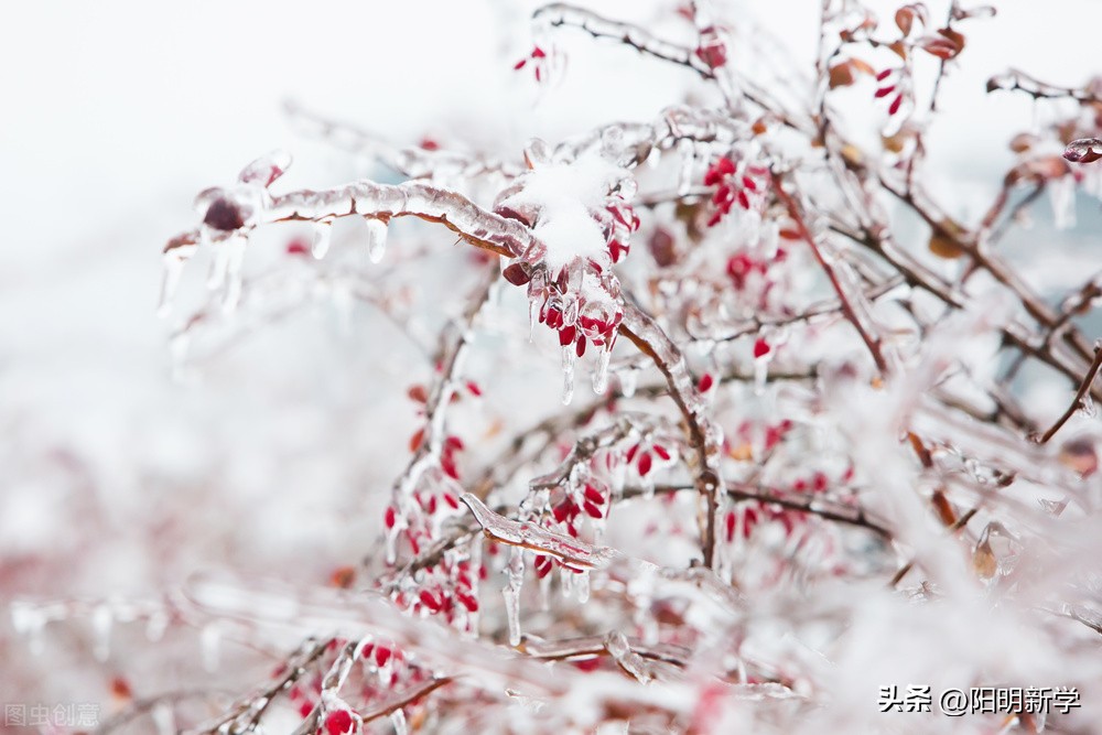 地球将提前进入冰河时期,地球步入冰川时代