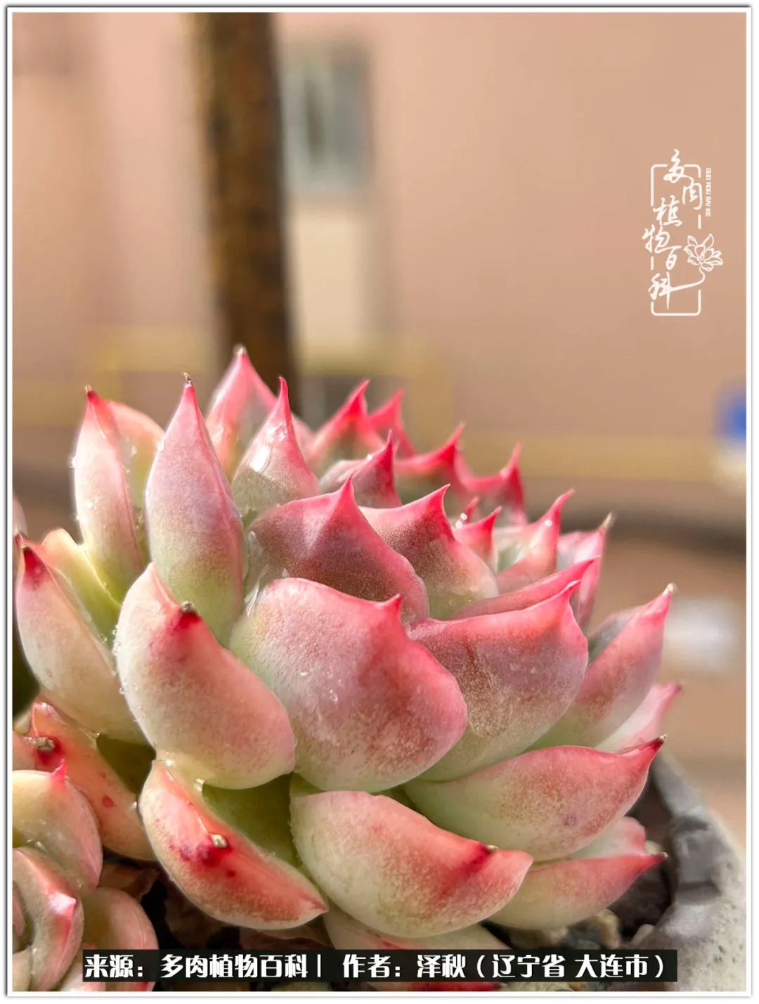 四季轮回之秋天,四季轮回之冬季