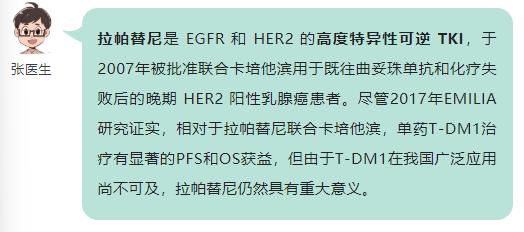 赫赛汀的化疗方案,赫赛汀在肿瘤方面起到什么作用