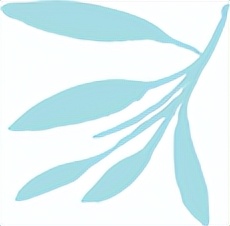 科普小知识散光究竟是咋回事,散光度数涨得快是什么原因