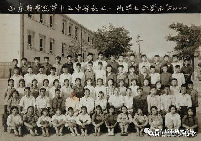 青岛第十五中学简介,青岛第十五中照片