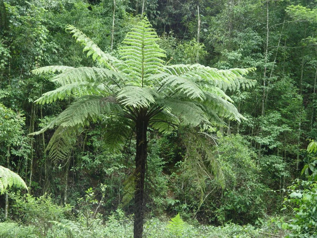 昆明七彩云南怎么样,七彩云南避暑家园
