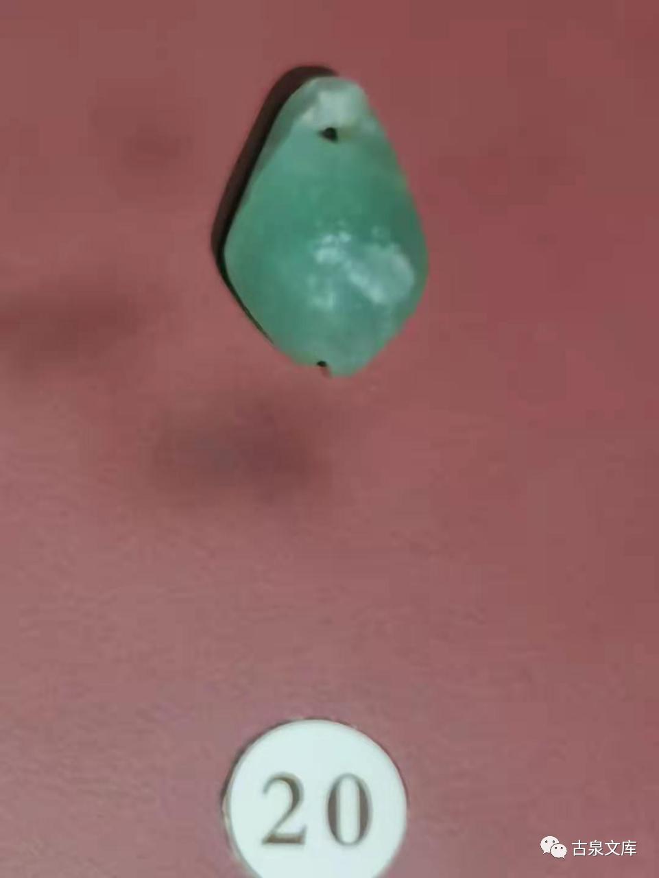 天然贝币真品价格,原始贝币发展史