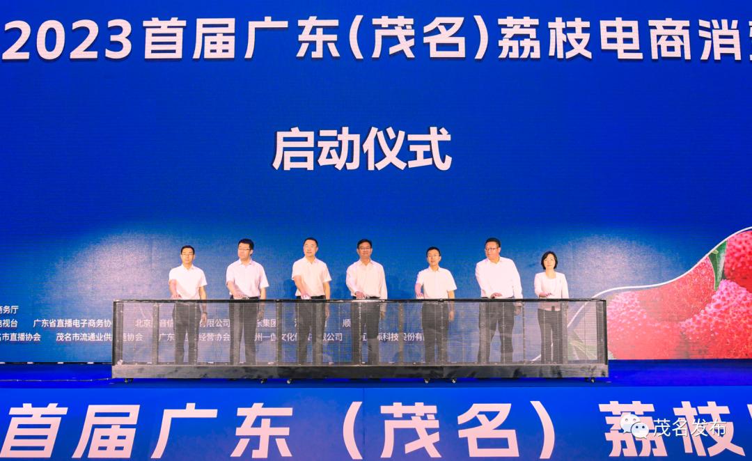 当前销售茂名荔枝电商有多少,广东荔枝电商销售