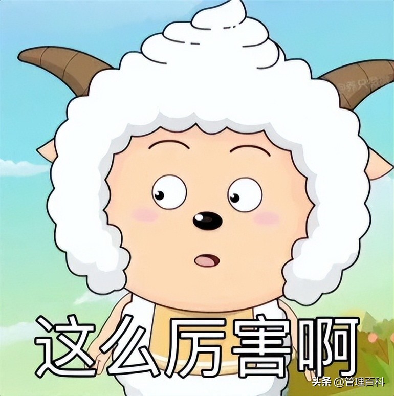 肯德基疯狂星期四为什么那么便宜,肯德基疯狂星期四到底谁更划算