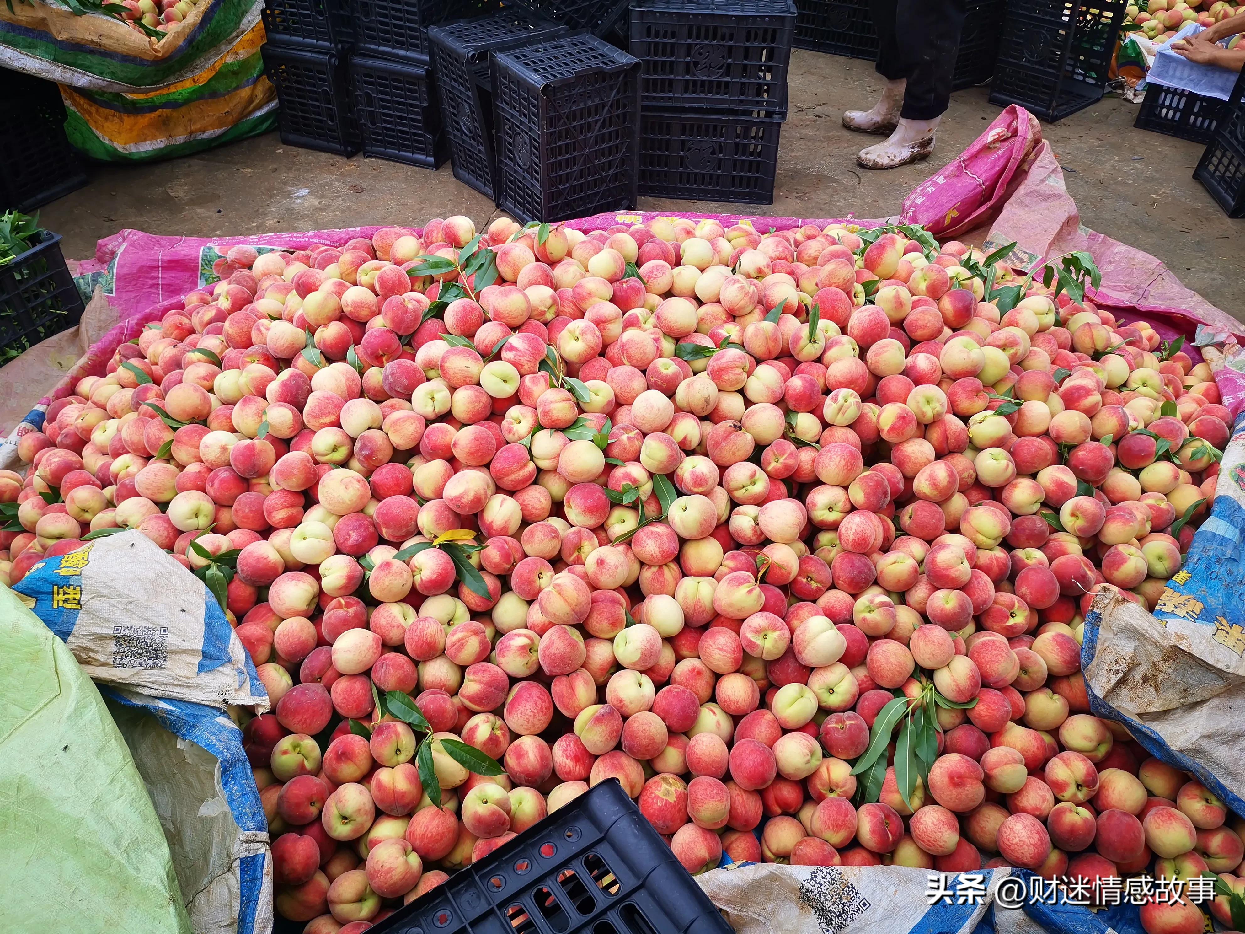 零投资空手套白狼赚钱的方法,0投资赚钱小技巧