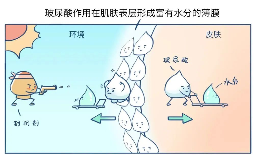 医美用医疗器械科普一之“玻尿酸”