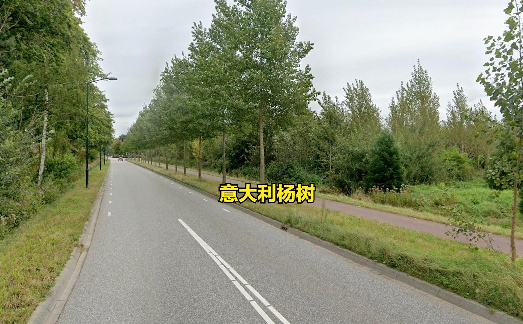 探访欧洲农村：荷兰农村房子，比我国农村房子小，但环境比我们好