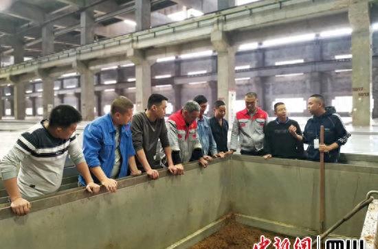 宜宾人才引进最新政策,宜宾三江新区人才引进详细政策