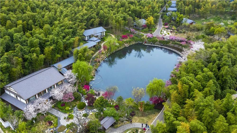 关于乡村旅游发展方向,关于推进全市乡村旅游发展的建议